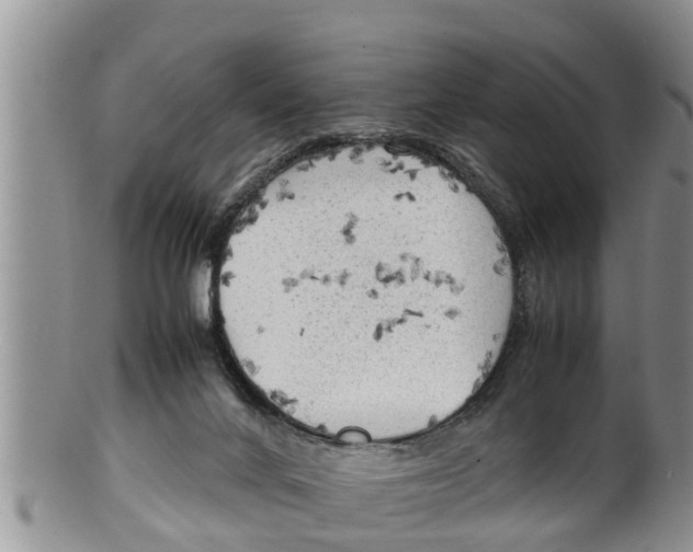 X0000100190024200806201408