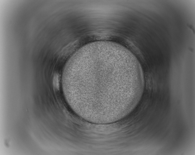 X0000100190026200806201408