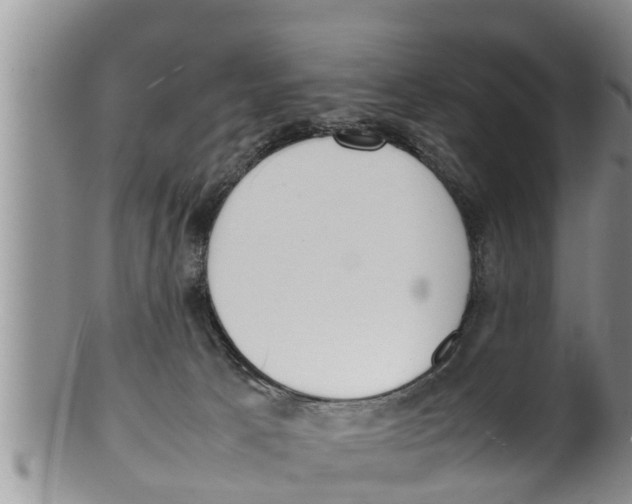 X0000100190033200806201408