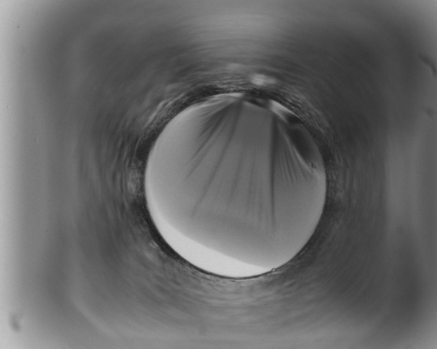 X0000100190035200806201408