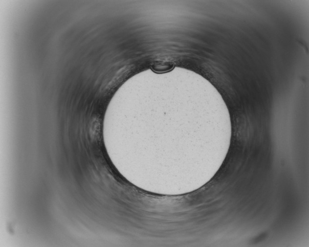 X0000100190036200806201408