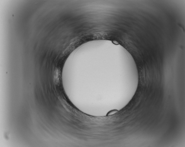 X0000100190038200806201408