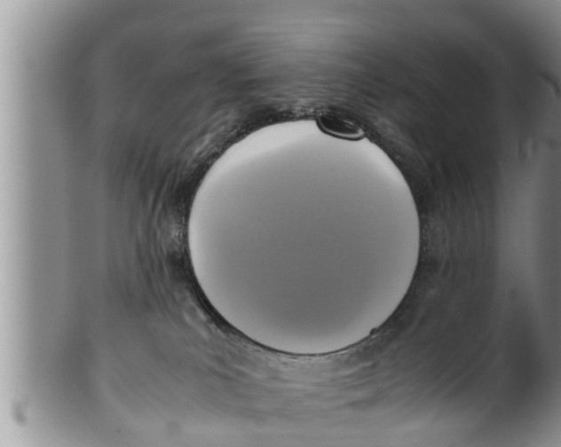 X0000100190039200806201408