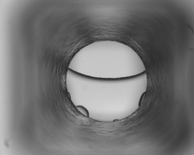 X0000100190045200806201408