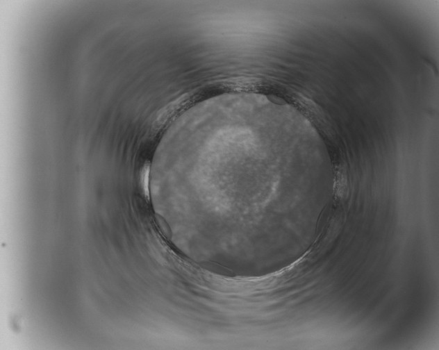 X0000100190047200806201408
