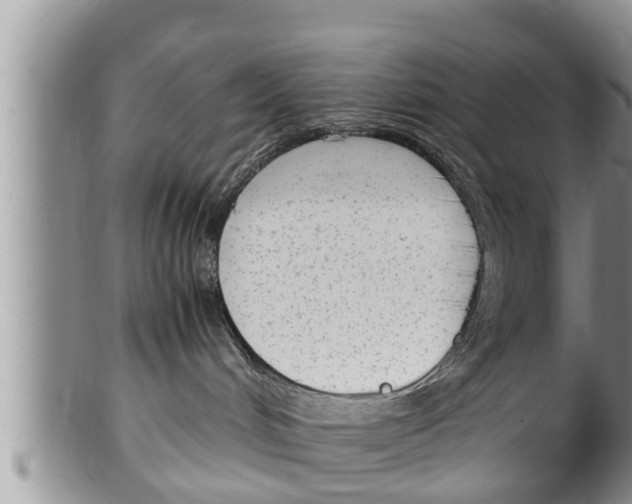 X0000100190048200806201408