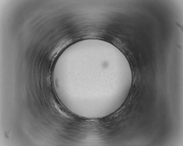 X0000100190050200806201407