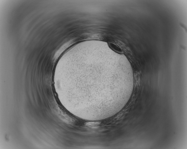 X0000100190051200806201407