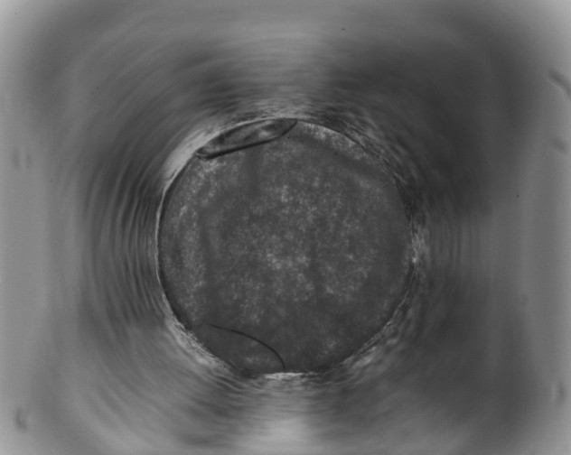X0000100190052200806201407