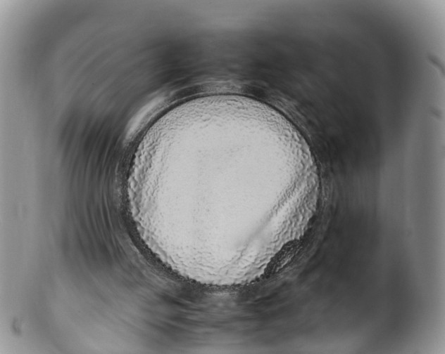 X0000100190053200806201407