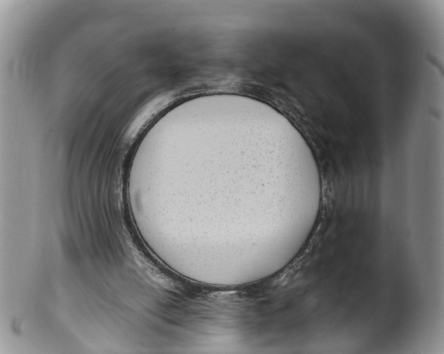X0000100190054200806201407