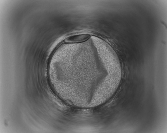 X0000100190056200806201407