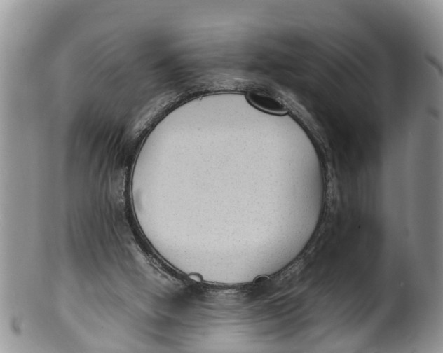 X0000100190058200806201407