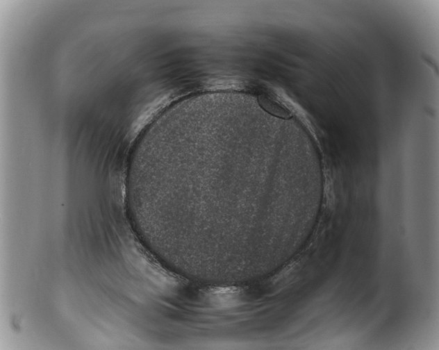 X0000100190059200806201407