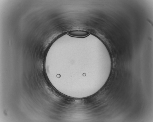 X0000100190060200806201407