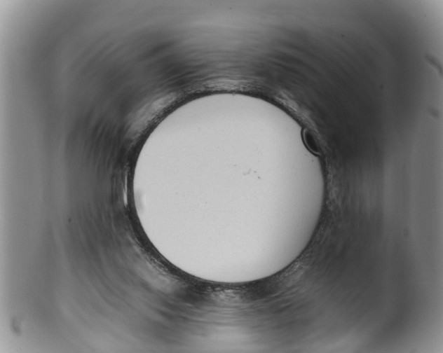 X0000100190062200806201407