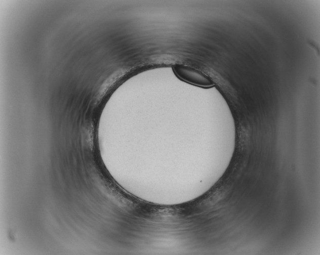 X0000100190064200806201407