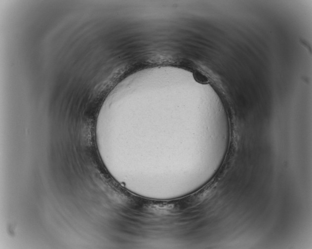 X0000100190065200806201407