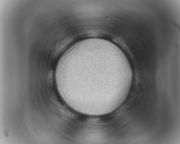 X0000100190066200806201407