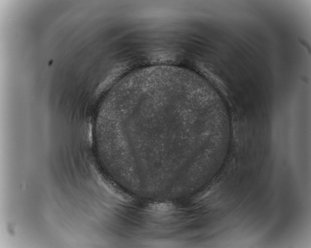 X0000100190067200806201407