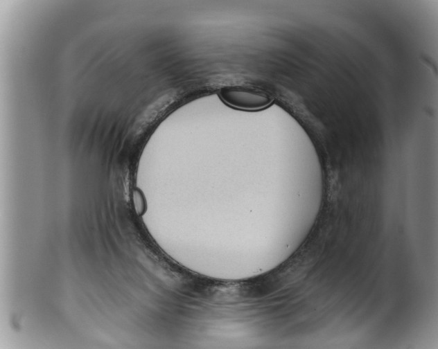X0000100190068200806201407