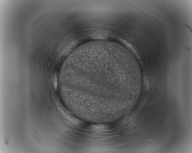X0000100190069200806201407