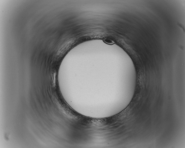 X0000100190070200806201407