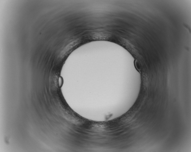 X0000100190071200806201407