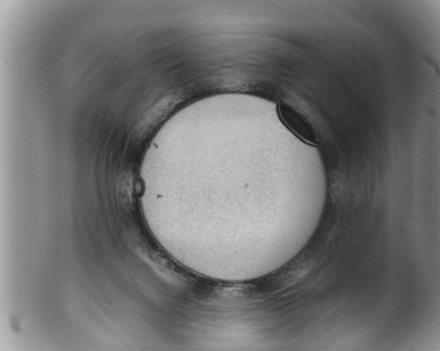 X0000100190072200806201407