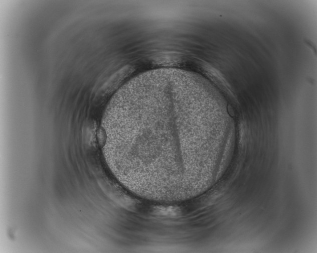 X0000100190073200806201407