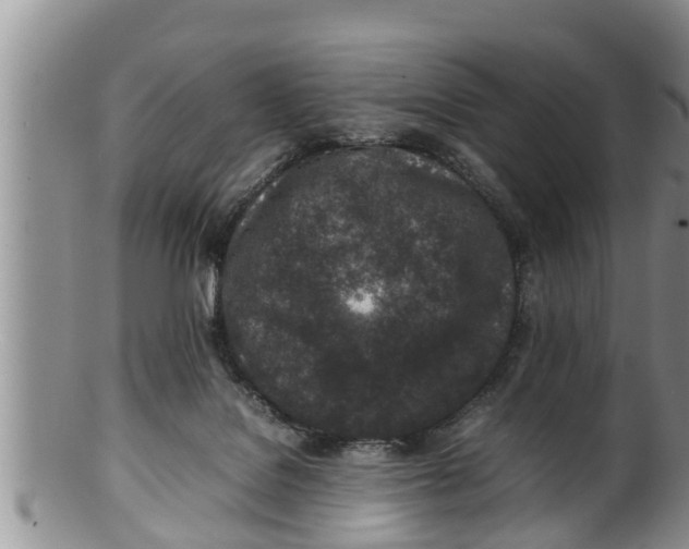 X0000100190076200806201407