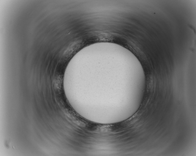 X0000100190078200806201407