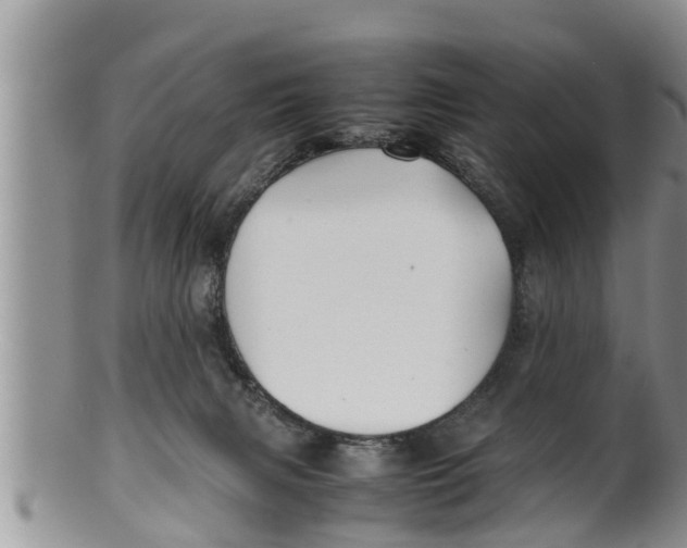 X0000100190079200806201407