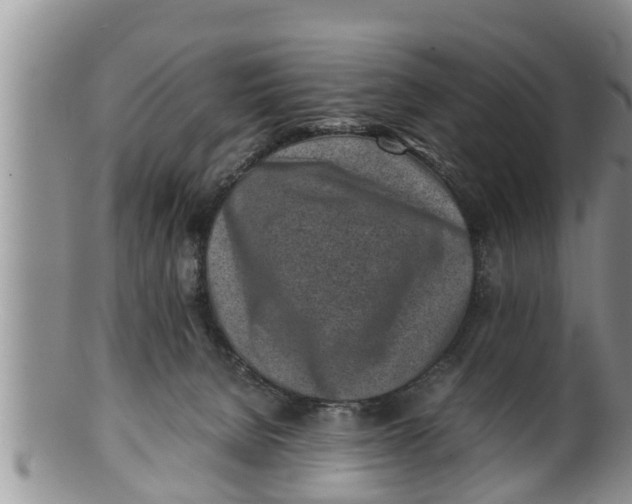 X0000100190080200806201407