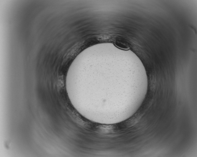 X0000100190085200806201407