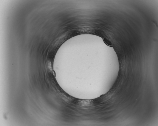 X0000100190089200806201407