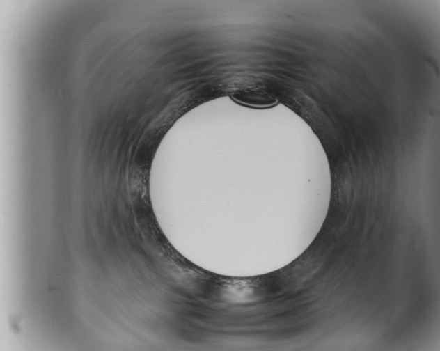X0000100190091200806201407