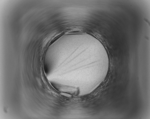 X0000100190097200806201407