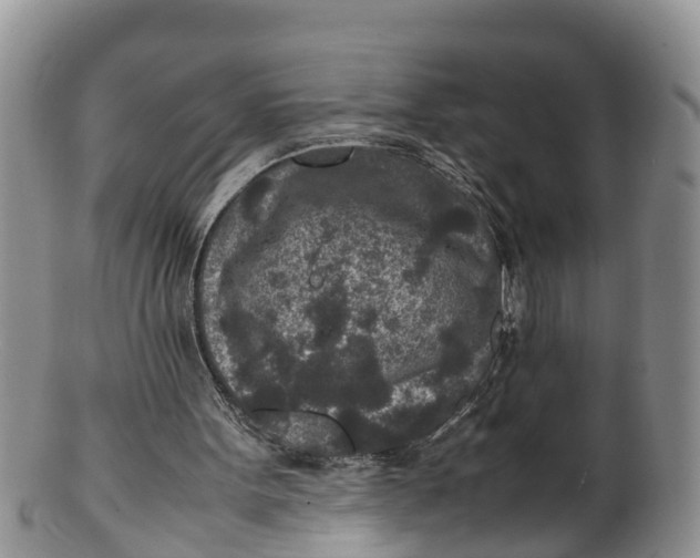 X0000100190099200806201407