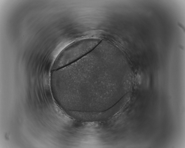 X0000100190100200806201407