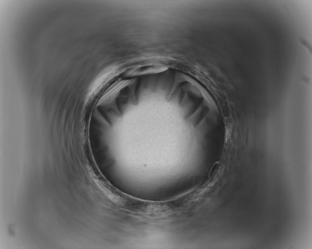 X0000100190101200806201407