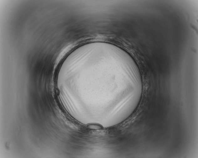 X0000100190102200806201407