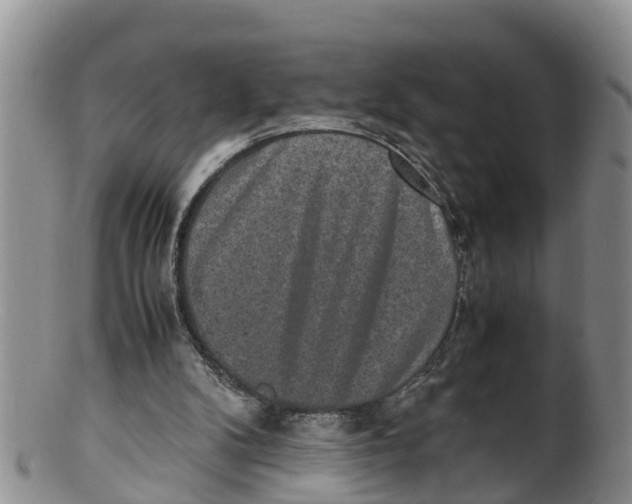 X0000100190104200806201407