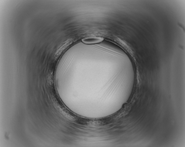 X0000100190105200806201407