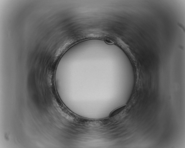 X0000100190106200806201407