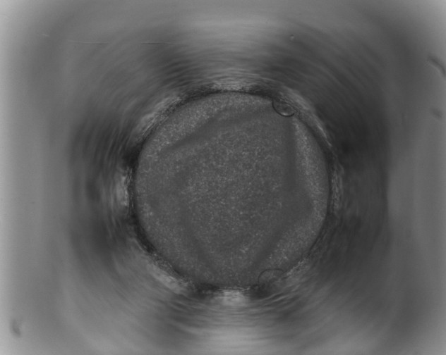 X0000100190114200806201406