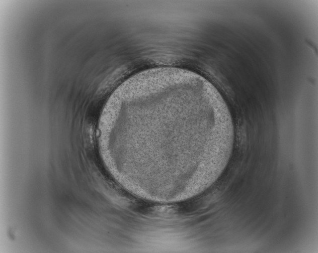 X0000100190117200806201406