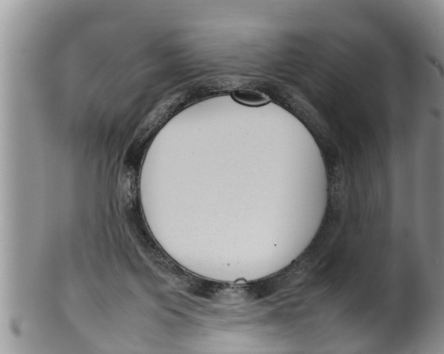 X0000100190119200806201406
