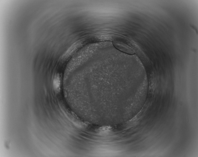 X0000100190124200806201406