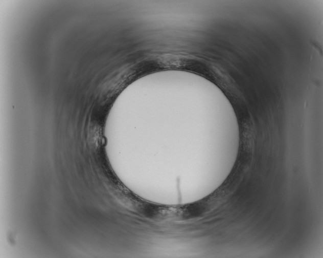 X0000100190125200806201406